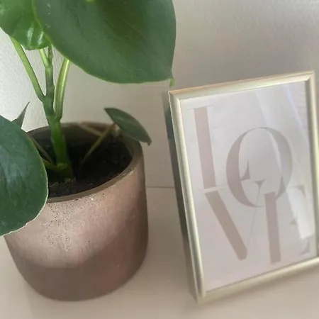 Privat Lejlighed Med 2 Vaerelser, Opholdsrum, Eget Badevaerelse Habitación en casa particular